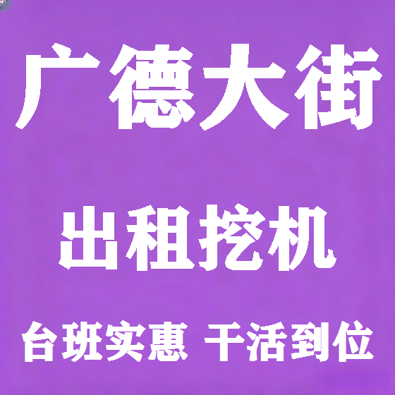 北京广德大街挖机租赁图