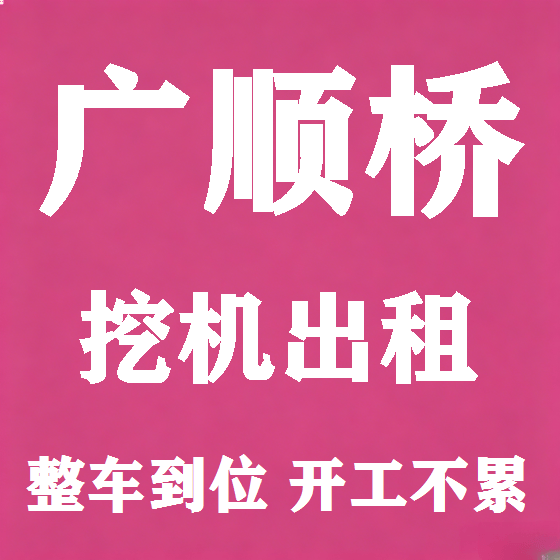 北京广顺桥挖机租赁图