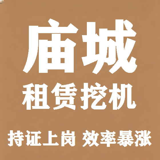北京庙城挖机租赁图