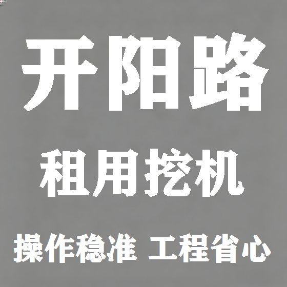 北京开阳路挖机租赁图