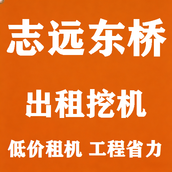 北京志远东桥挖机租赁图