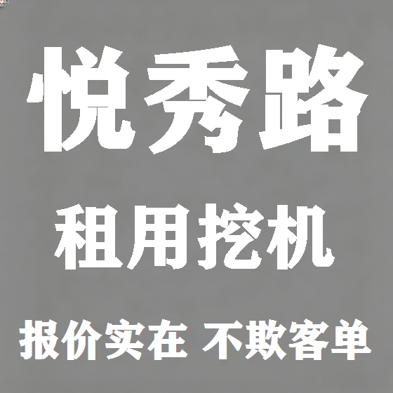 北京悦秀路挖机租赁图