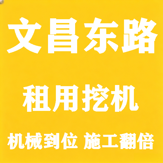 北京文昌东路挖机租赁图
