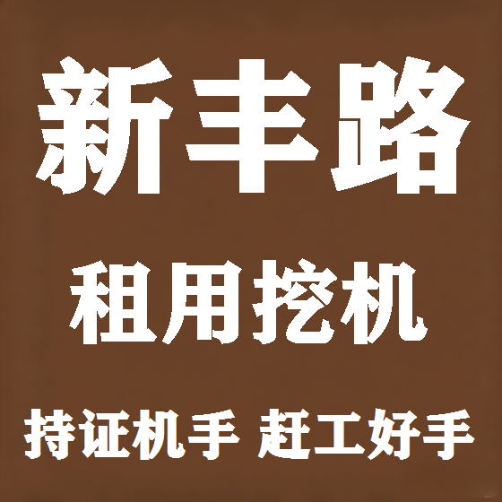 北京新丰路挖机租赁图