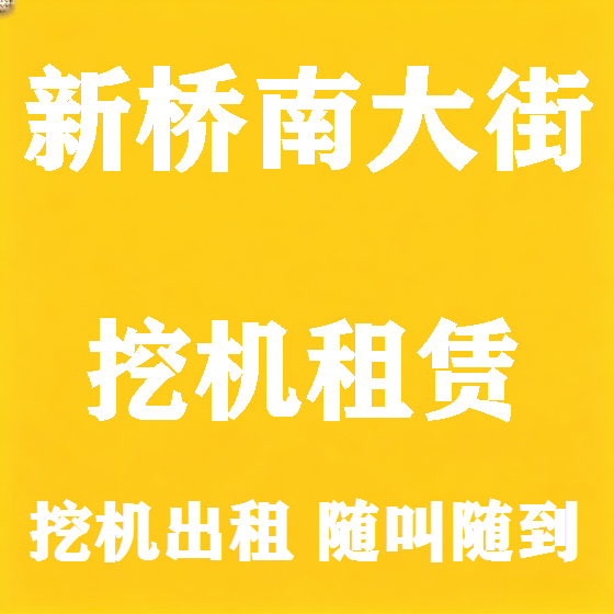 北京新桥南大街挖机租赁图