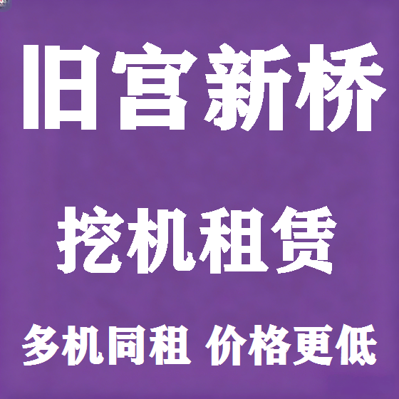 北京旧宫新桥挖机租赁图