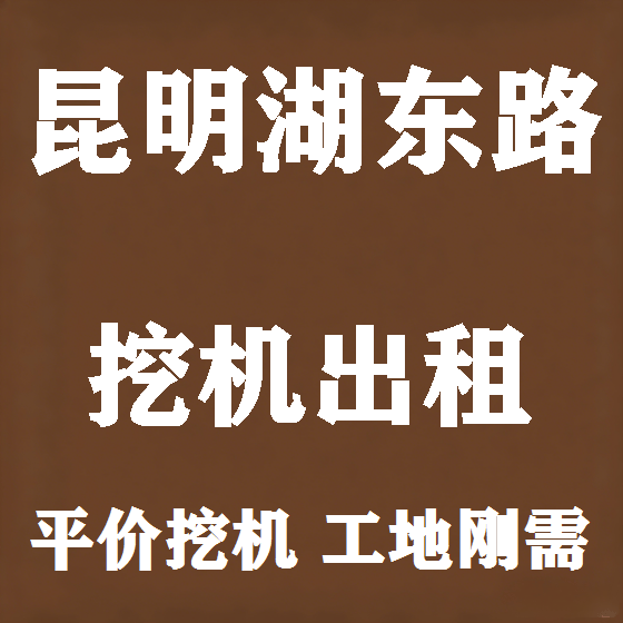 北京昆明湖东路挖机租赁图