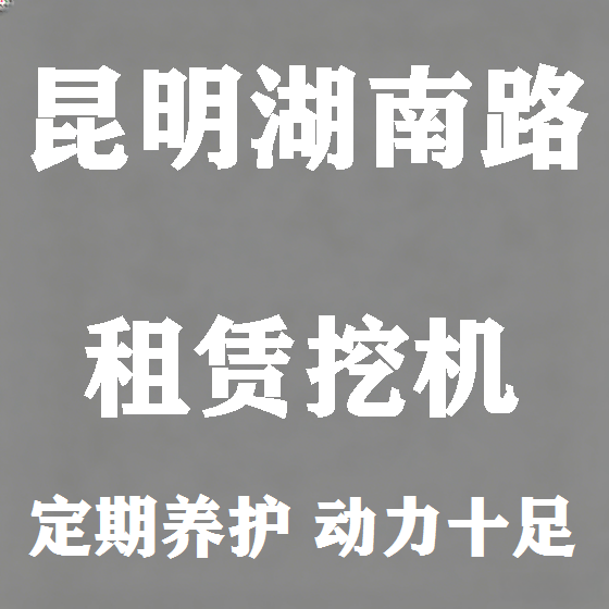 北京昆明湖南路挖机租赁图