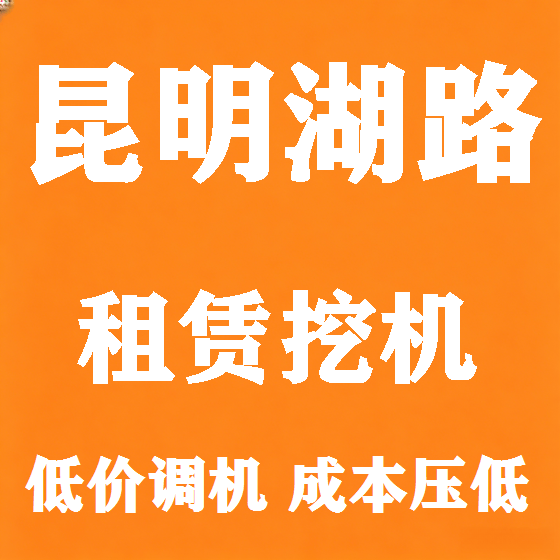 北京昆明湖路挖机租赁图