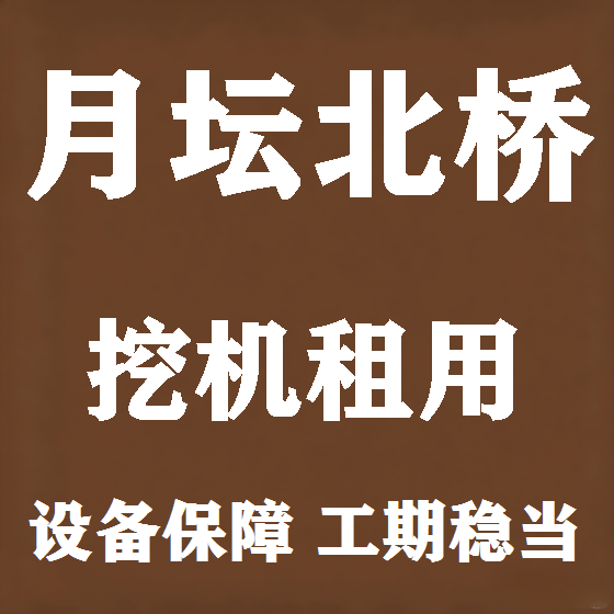 北京月坛北桥挖机租赁图