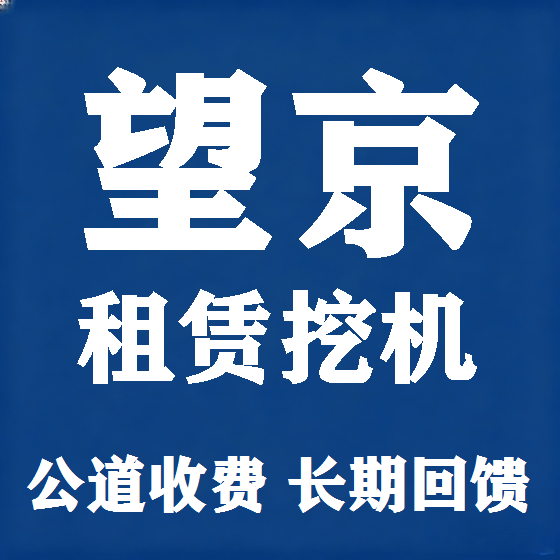 北京望京挖机租赁图