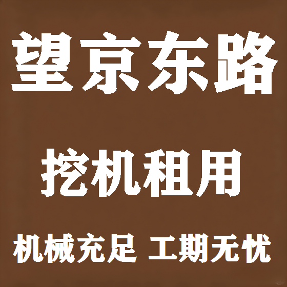 北京望京东路挖机租赁图