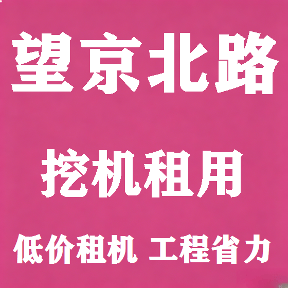 北京望京北路挖机租赁图