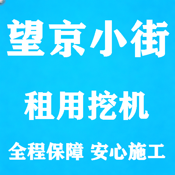 北京望京小街挖机租赁图