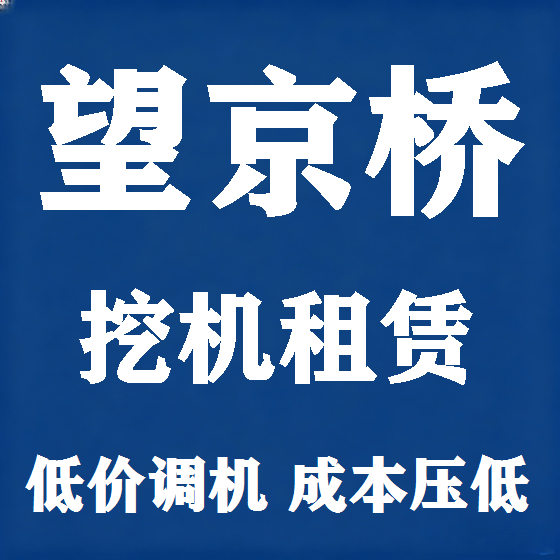 北京望京桥挖机租赁图