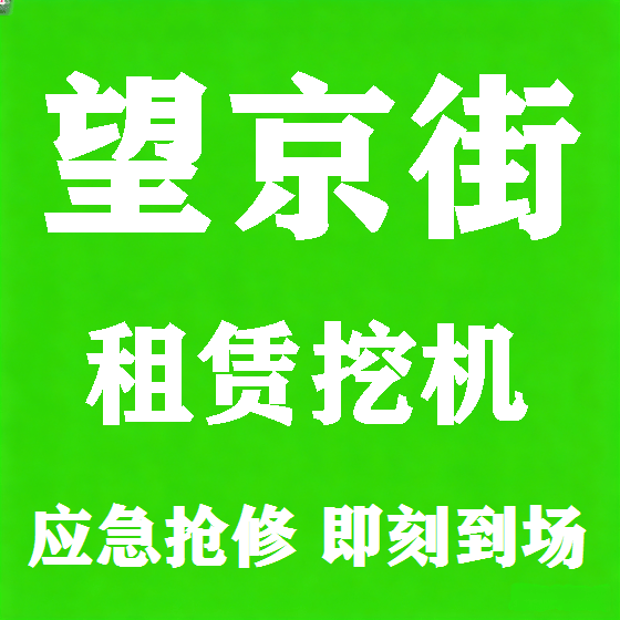 北京望京街挖机租赁图