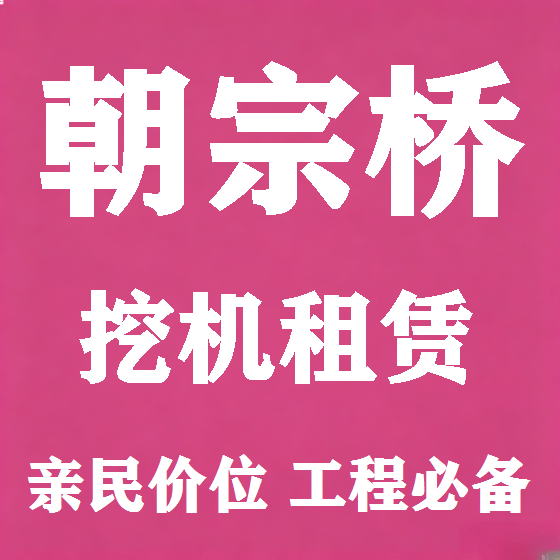 北京朝宗桥挖机租赁图