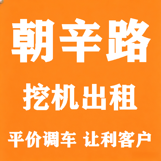 北京朝辛路挖机租赁图