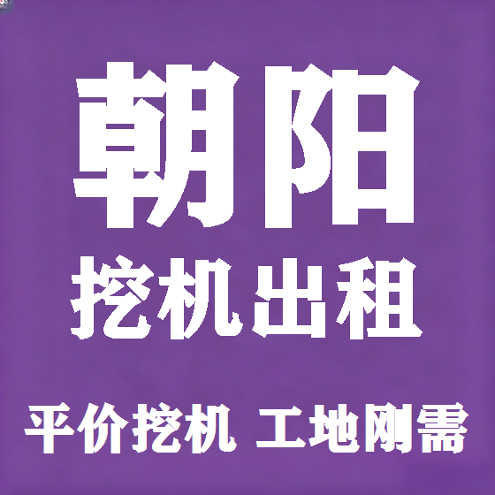 北京朝阳挖机租赁图