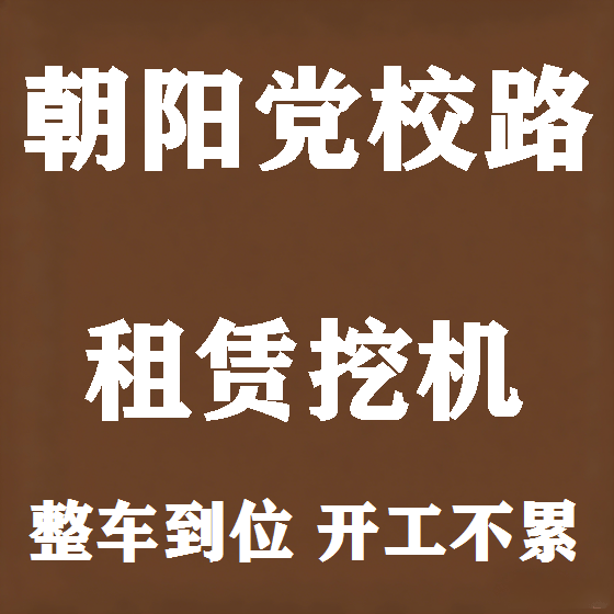 北京朝阳党校路挖机租赁图