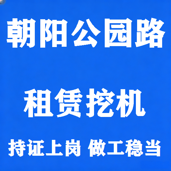 北京朝阳公园路挖机租赁图