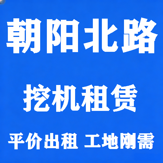 北京朝阳北路挖机租赁图