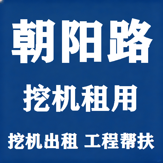 北京朝阳路挖机租赁图