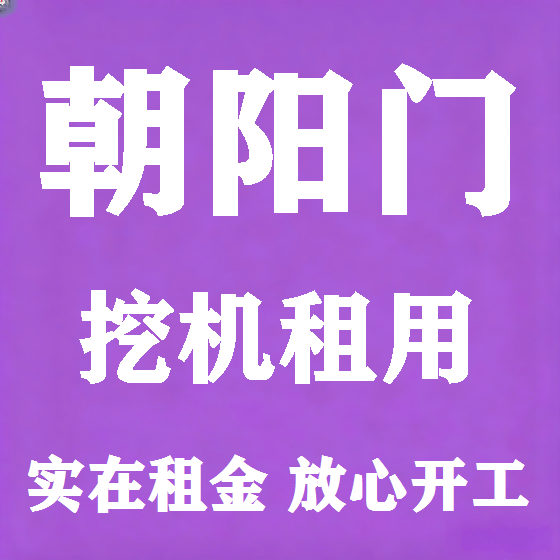 北京朝阳门挖机租赁图
