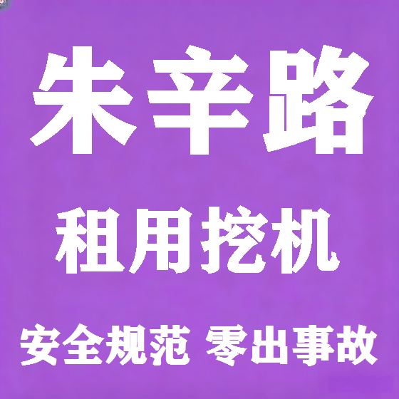 北京朱辛路挖机租赁图