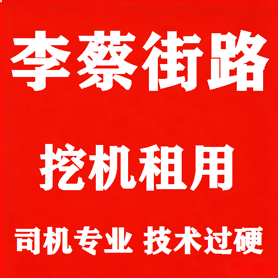 北京李蔡街路挖机租赁图