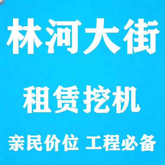 北京林河大街挖机租赁图