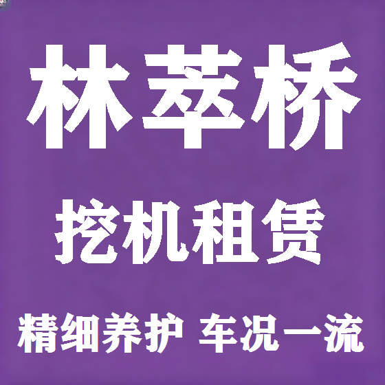 北京林萃桥挖机租赁图