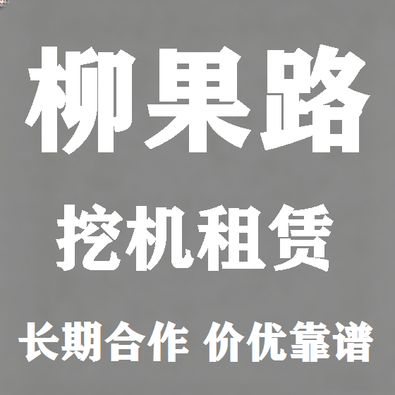北京柳果路挖机租赁图