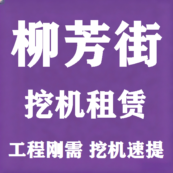 北京柳芳街挖机租赁图