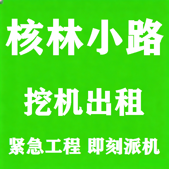 北京核林小路挖机租赁图