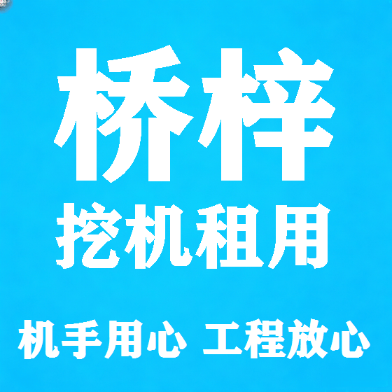 北京桥梓挖机租赁图