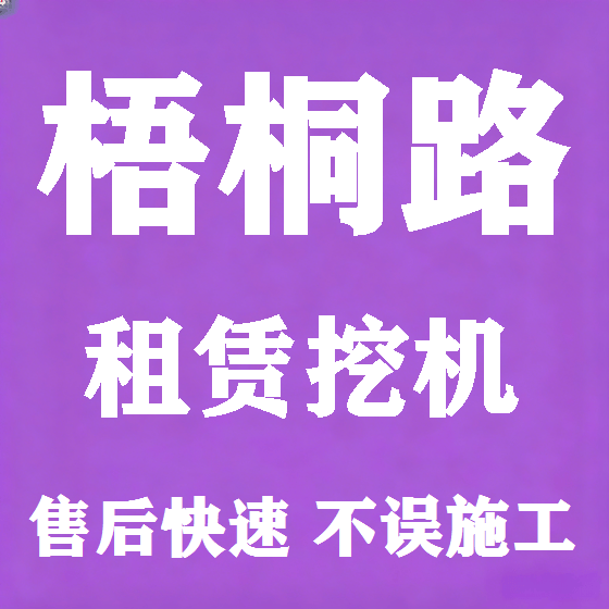 北京梧桐路挖机租赁图