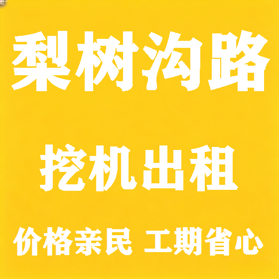 北京梨树沟路挖机租赁图