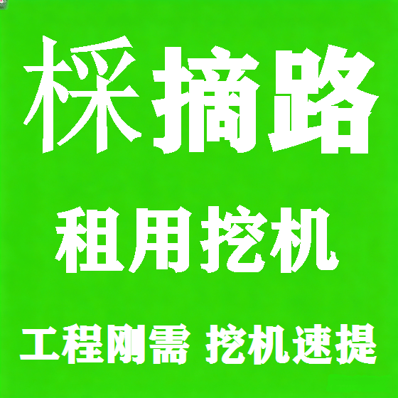 北京棌摘路挖机租赁图