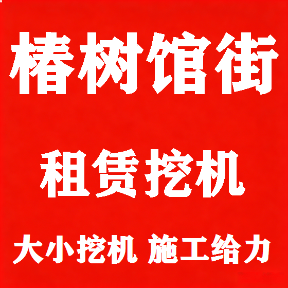 北京椿树馆街挖机租赁图