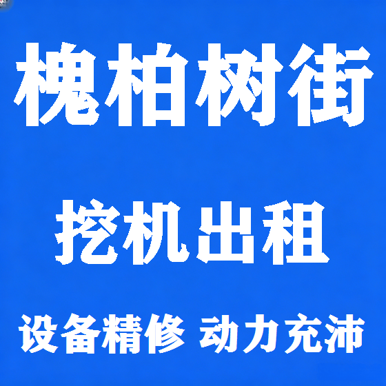 北京槐柏树街挖机租赁图