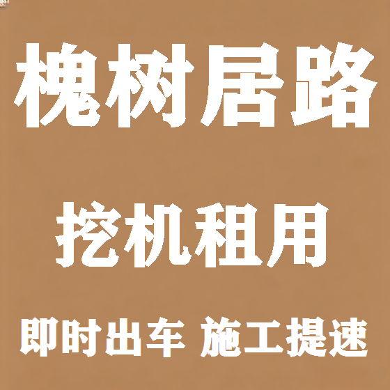 北京槐树居路挖机租赁图