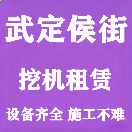 北京武定侯街挖机租赁图