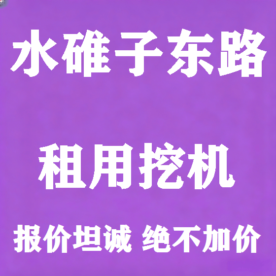 北京水碓子东路挖机租赁图