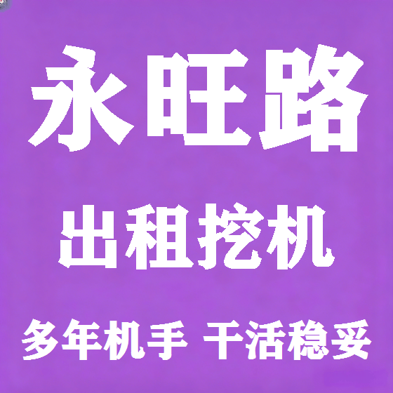 北京永旺路挖机租赁图