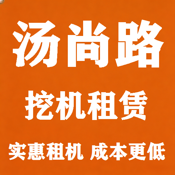北京汤尚路挖机租赁图