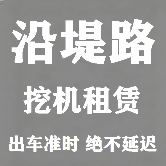 北京沿堤路挖机租赁图