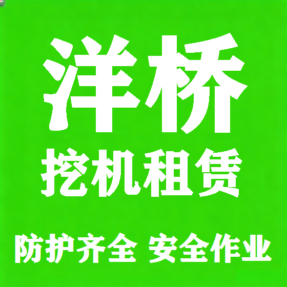 北京洋桥挖机租赁图