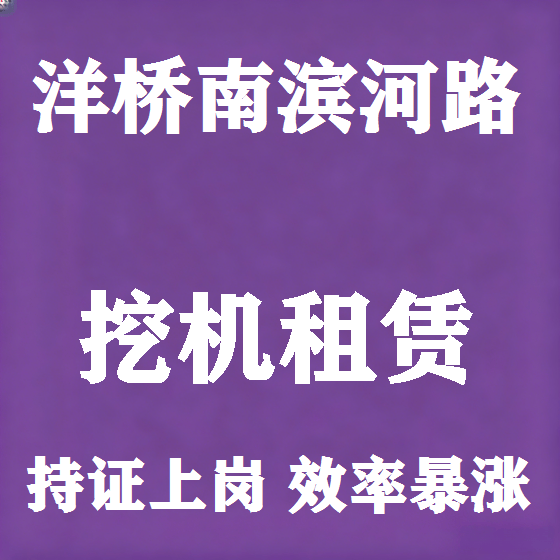 北京洋桥南滨河路挖机租赁图
