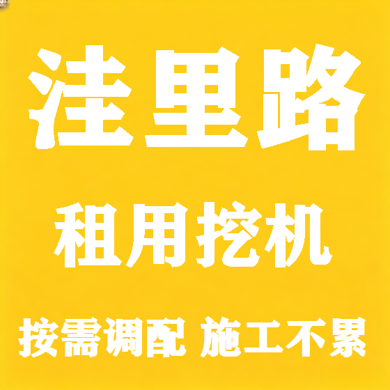 北京洼里路挖机租赁图